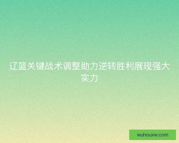 辽篮关键战术调整助力逆转胜利展现强大实力